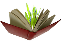 Book and Flower